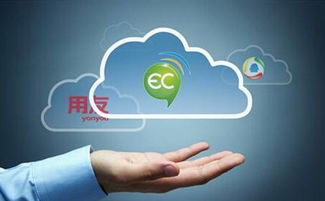 大品牌的管理軟件真的就好嗎？